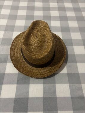 Brown Straw Fedora Hat with Dark Band